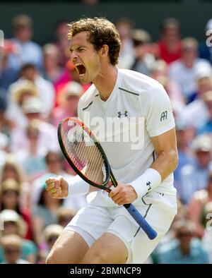 6. Juli 2015, Wimbledon Championships, London. Herren Singles vierte Runde, Center Court, Andy Murray (GBR) feiert gegen Ivo Karlovic, (Cro) Stockfoto