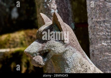 Statue eines Kitsune, japanischer Shinto-rotfuchsgott, im Fushimi Inari Shinto-Schrein in Kyoto, Japan Stockfoto