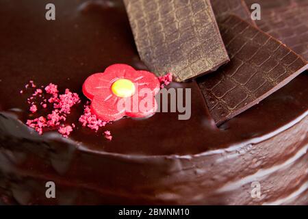 Schokoladenkuchen mit Schokoladenverzierungen und roter Marzipanrose Stockfoto