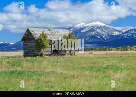 Alte Hütte unter Mount Baldy in den großen Gürtelbergen in der Nähe von townsend, montana Stockfoto