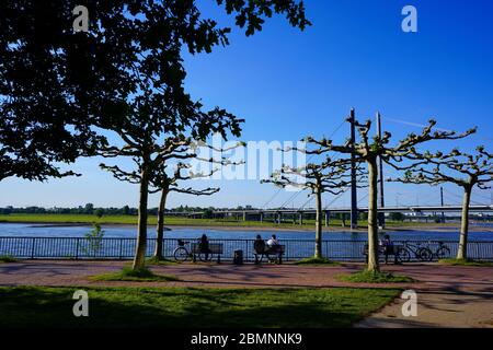 Ein schöner sonniger Frühlingsnachmittag am Rhein mit Menschen, die auf Bänken entspannen. Rheinknie-Brücke im Hintergrund. Stockfoto