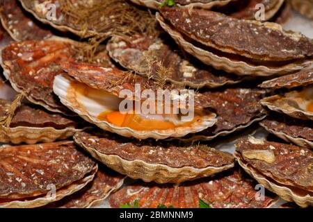 Austern auf den Zähler in Kisten aus Holz, auf dem Markt. Austern zum Verkauf an der Seafood Market. Fisch Marktstand voller frischer shell Austern. Frische oys Stockfoto