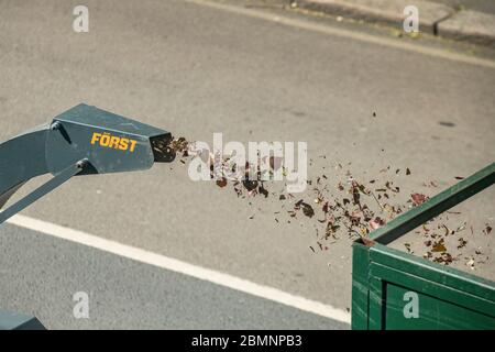 Zerkleinerten Holzspäne werden aus einem Baumschredder geblasen Stockfoto