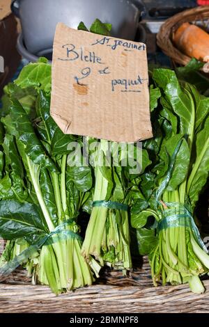 Collards: Verwendet in der südlichen Küche, sind Collard Grüns in der Ernährung ähnlich wie Grünkohl. Aber sie haben eine herzlichere und kitschigere Textur und eine stärkere Stockfoto