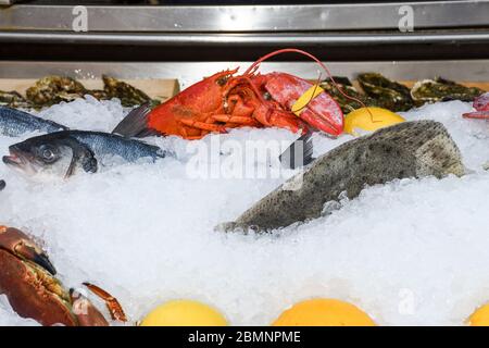 Gute Auswahl an Krustentieren zum Abendessen. Hummer, Krabben und Jumbo-Garnelen und Austern auf dunklem Hintergrund Stockfoto