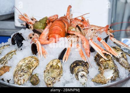 Gute Auswahl an Krustentieren zum Abendessen. Hummer, Krabben und Jumbo-Garnelen und Austern auf dunklem Hintergrund Stockfoto