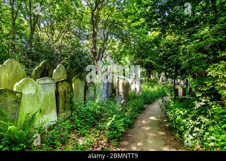 Pfad und Grabsteine im Victorian Tower Hamlets Cemetery Park, London, Großbritannien Stockfoto