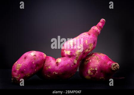 Ein paar glänzende Magenta frisch lebendige bunte Bio rohe Süßkartoffeln oder Yam in Studio-Beleuchtung kontrastiert mit einem dunkelgrauen Hintergrund Stockfoto