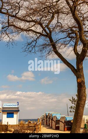 Baltic Beach Chaires am Timmendorfer Strand, Deutschland Stockfoto