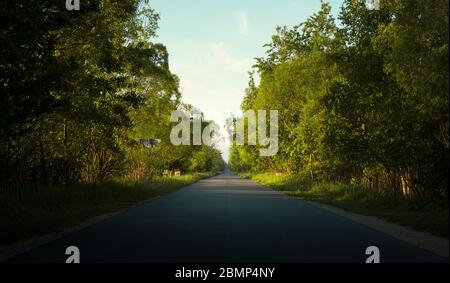 Straße durch den Biebrza Nationalpark in Polen Stockfoto