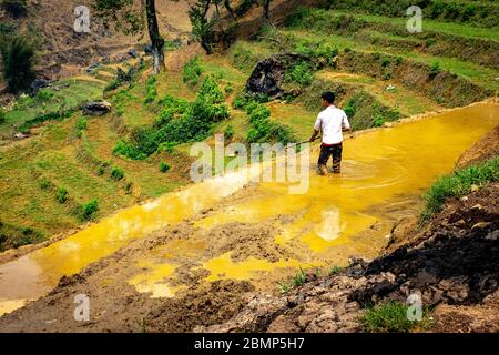 SA pa, Vietnam - 24. April 2018: Ein Landwirt arbeitet allein in einem Reisfeld, an einem bewölkten Tag genommen Stockfoto