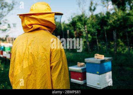 Imker schaute von hinten in seinem Bienenhaus Stockfoto