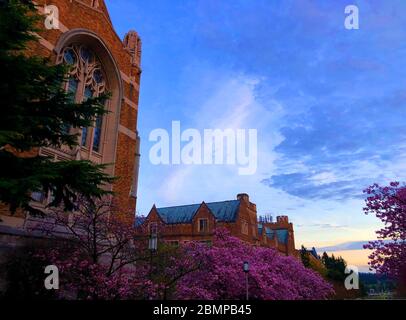 Bezaubernde Aussicht auf Seattle, Washington Stockfoto