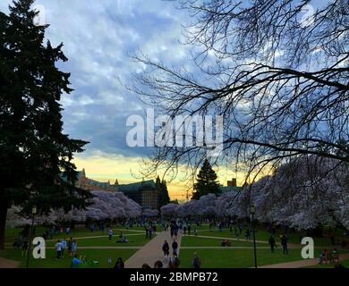 Bezaubernde Aussicht auf Seattle, Washington Stockfoto