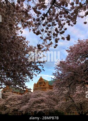 Bezaubernde Aussicht auf Seattle, Washington Stockfoto