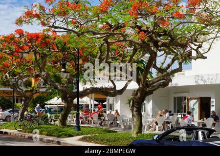 Morgenkaffee im alten Naples Florida Stockfoto