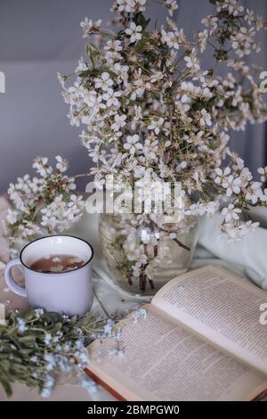 Frühstück am Morgen, getoastete schöne Käsekuchen auf einem Teller auf der Tischdecke neben einem Frühlingsstrauß aus weißen Blumen Stockfoto
