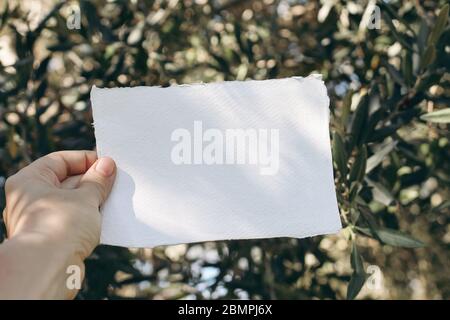 Nahaufnahme der Frau Hand mit leeren Papier Grußkarte. Einladung Mockup in Slunlight. Verschwommene grüne Olivenblätter, Zweige. Selektiver Fokus, Bokeh Stockfoto
