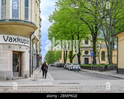 Historische Straße Knäppingsborgsgatan und der Olai Park in Norrköping im Frühling. Norrkoping ist eine historische Industriestadt in Schweden. Stockfoto