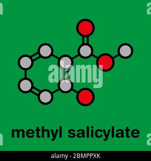 Methylsalicylat (Wintergrünöl) Molekül. Wirkt als unansichtig. Als Aroma- und Duftstoff verwendet. Stilisierte Skelettformel (chemische Struktur): Atome werden als farbcodierte Kreise dargestellt: Wasserstoff (versteckt), Kohlenstoff (grau), Sauerstoff (rot). Stockfoto