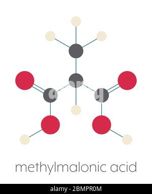 Methylmalonsäure-Molekül. Erhöhte Plasmaspiegel können auf Vitamin-B12-Mangel hinweisen. Stilisierte Skelettformel (chemische Struktur): Atome werden als farbcodierte Kreise dargestellt: Wasserstoff (beige), Kohlenstoff (grau), Sauerstoff (rot). Stockfoto