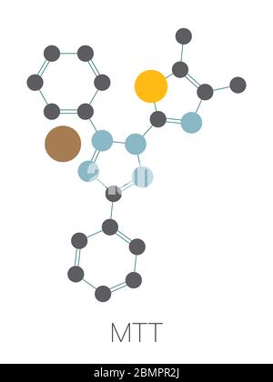 MTT gelbes Tetrazol-Farbstoffmolekül. Wird im MTT-Assay verwendet, um die Zytotoxizität und die Stoffwechselaktivität der Zellen zu messen. Stilisierte Skelettformel (chemische Struktur): Atome werden als farbcodierte Kreise dargestellt: Wasserstoff (versteckt), Kohlenstoff (grau), Sauerstoff (rot), Stickstoff (blau), Schwefel (gelb), Brom (braun). Stockfoto