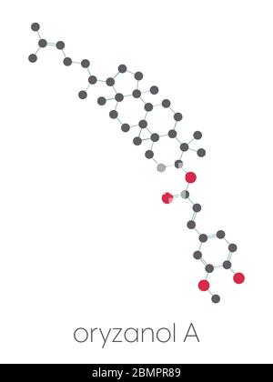 Cycloartenyl ferulat oder Oryzanol EIN Molekül. Hauptbestandteil von Gamma-Oryzanol (Reiskleie-Öl). Stilisierte Skelettformel (chemische Struktur): Atome werden als farbcodierte Kreise dargestellt: Wasserstoff (versteckt), Kohlenstoff (grau), Sauerstoff (rot). Stockfoto