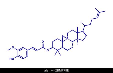 Cycloartenyl ferulate oder oryzanol ein Molekül. Wichtiger Bestandteil der Gamma-oryzanol (Reiskleieöl). Skelettmuskulatur Formel. Stockfoto