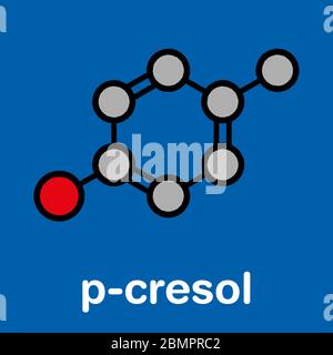 P-Kresol (para-Kresol, 4-Methylphenol) Molekül. Komponente des menschlichen Schweißes. Stilisierte Skelettformel (chemische Struktur): Atome werden als farbcodierte Kreise dargestellt: Wasserstoff (versteckt), Kohlenstoff (grau), Sauerstoff (rot). Stockfoto