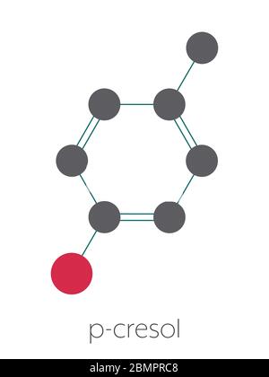 P-Kresol (para-Kresol, 4-Methylphenol) Molekül. Komponente des menschlichen Schweißes. Stilisierte Skelettformel (chemische Struktur): Atome werden als farbcodierte Kreise dargestellt: Wasserstoff (versteckt), Kohlenstoff (grau), Sauerstoff (rot). Stockfoto