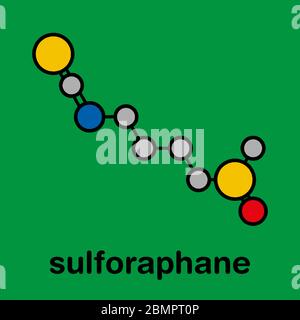 Sulforaphan Kreuzblütler pflanzliches Molekül. Stilisierte Skelettformel (chemische Struktur): Atome werden als farbcodierte Kreise dargestellt: Wasserstoff (versteckt), Kohlenstoff (grau), Sauerstoff (rot), Schwefel (gelb), Stickstoff (blau). Stockfoto