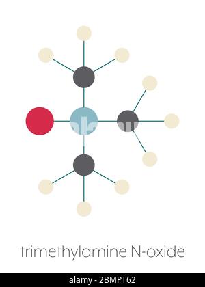 Trimethylamin N-Oxid (TMAO)-Molekül. Stilisierte Skelettformel (chemische Struktur): Atome werden als farbcodierte Kreise dargestellt: Wasserstoff (beige), Kohlenstoff (grau), Stickstoff (blau), Sauerstoff (rot). Stockfoto