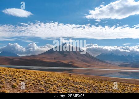 Touristen erkunden Miscanti See (Spanisch: Laguna Miscanti) in der Atacama Wüste, Nord-Chile, Südamerika.