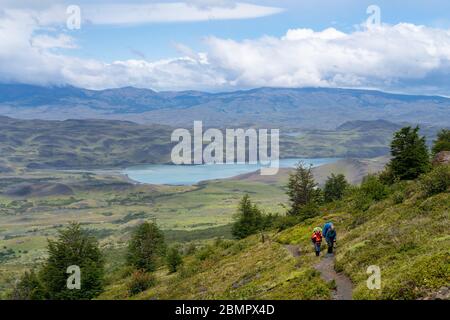 Wanderer wandern auf dem berühmten W Trek im Torres del Paine Nationalpark in Patagonien, Chile, Südamerika. Stockfoto