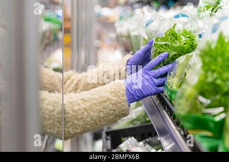 Nahaufnahme der Frau Hände in medizinischen Handschuhen wählt Salat Salatblätter durch Öffnen des Kühlschranks im Supermarkt. Schutzmaßnahmen gegen Coronav Stockfoto