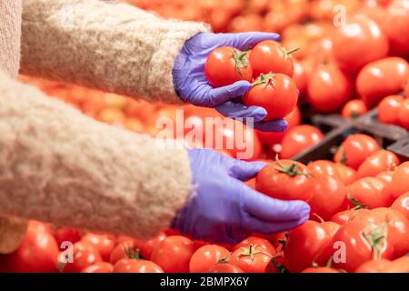 Frau Hände in medizinischen Gummihandschuhe wählt rote reife Tomaten im Supermarkt, weiche Fokus. Schutzmaßnahmen gegen die Coronavirus-Pandemie, Covid-19 Stockfoto