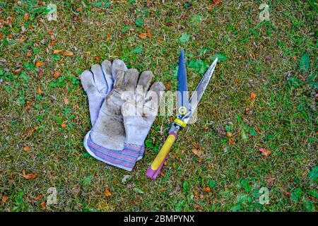 46 von oben nach unten Ansicht von Gartenhandschuhen und Gartenschneidemaschinen auf dem Rasen eines englischen Landgartens Stockfoto