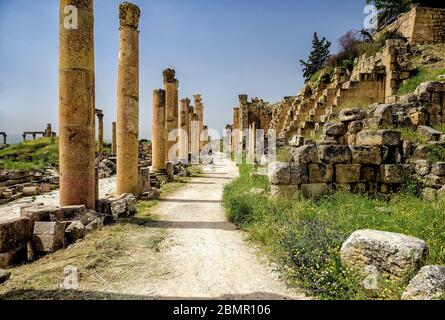 Suchen Süden entlang der Spalte gezeichnet Cardo der römischen zerstörten Stadt, Jerash, in der Nähe des Propylaeum Stockfoto