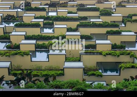 Nachhaltiges grünes Gebäude mit Pflanzen an der Fassade. Moderne Umwelt freundlich grün Stadtentwicklung Hintergrund Stockfoto