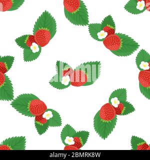Erdbeeren nahtlose Vektor Hintergrund. Nahtlose Vektor-Muster mit Erdbeerbeeren und Blumen Stock Vektor