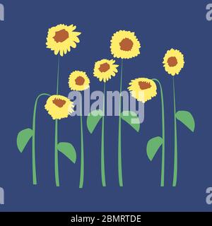 Sonnenblumen auf blauem Hintergrund. Vektorgrafik. Für Geschenkpapier, Textilien, Tapeten, Kissendrucke, Bettwäsche, Kleidung, Küchenzubehör Stock Vektor