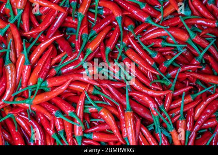 Rote scharfe Chili-Paprika zum Verkauf auf der Straße Lebensmittelmarkt in der Altstadt von Hanoi, Vietnam. Nahaufnahme Stockfoto