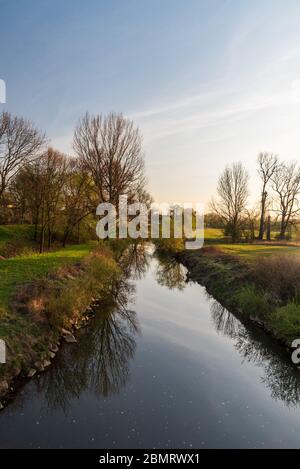 Fluss Odra mit Wiese und Bäumen in der Nähe von Ostrava Stadt in Tschechien während des schönen Frühlingabends Stockfoto