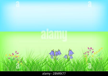 Blumenlandschaft im Sommer oder Frühling, Wiese mit Blumen und blauem Himmel. Grasrand mit Kopierbereich. Frühling ruhige Panoramalandschaft. Stock-Vektor Stock Vektor