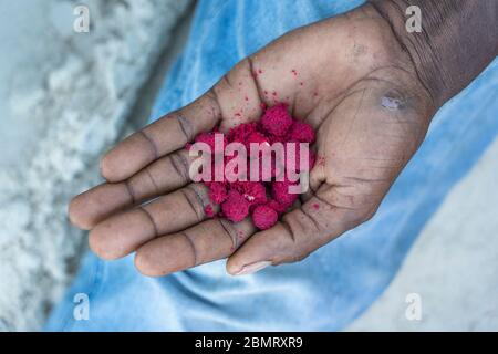 Rote Baobab-Samen mit Zucker in einer männlichen Hand, Nahaufnahme. Dessert Ubuyu auf der Insel Sansibar, Tansania, Ostafrika Stockfoto