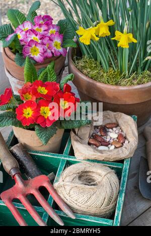Frühling Garten, Stillleben mit Blumen. Stockfoto