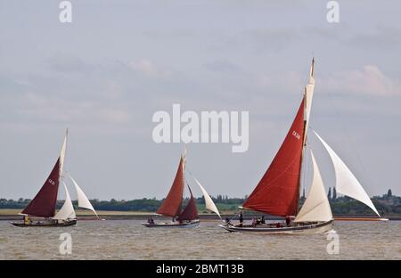 Drei Essex Auster smacks in voller Segel; CK348 My Alice, MN69 Martha II und CK21 Maria. Stockfoto