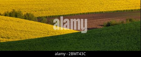 Panorama der schönen Frühlingsfelder auf den sanften Hügeln Stockfoto
