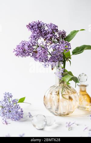 Lila Fliederblüte in einer kleinen Parfümflasche auf weißem Hintergrund. Frühlingsblumen Stillleben mit Kopierraum. Stockfoto