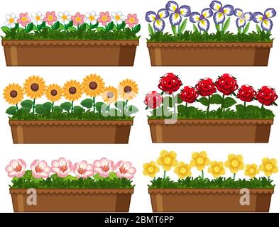 Schöne Blumen in Tontöpfen auf weißem Hintergrund Illustration Stock Vektor